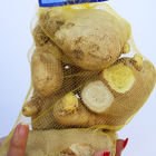 L'HDPE pp di Ginger Packaging Plastic Mesh Bag cattura con la rete le borse di verdure